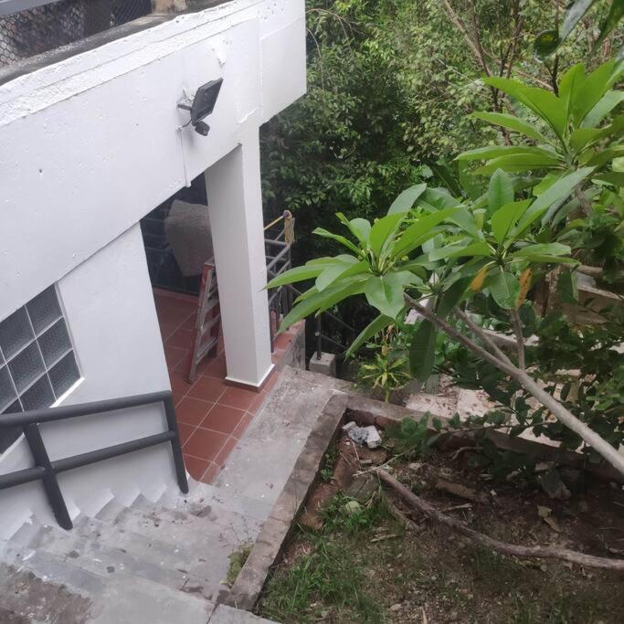Kk Jungle Hideaway Lovely Apartment 5 Mins Walk To Town โกตาคินาบาลู ภายนอก รูปภาพ