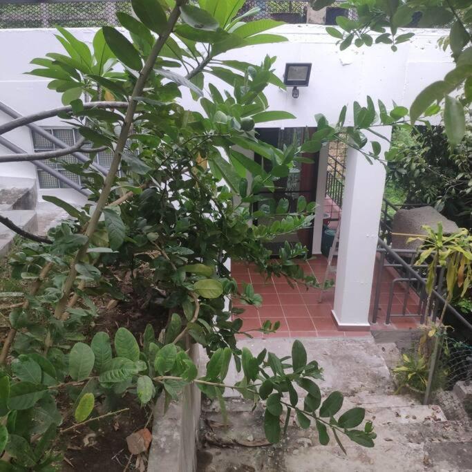 Kk Jungle Hideaway Lovely Apartment 5 Mins Walk To Town โกตาคินาบาลู ภายนอก รูปภาพ